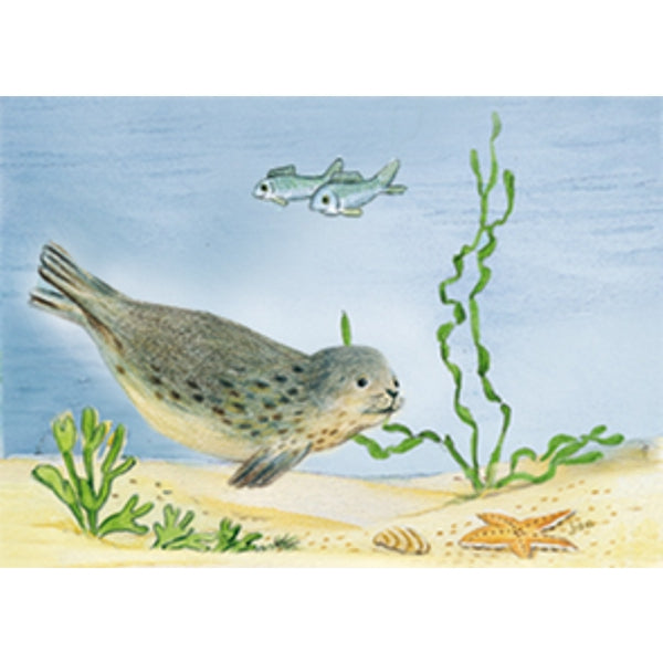Wenskaart zeehond vissen (F12607)