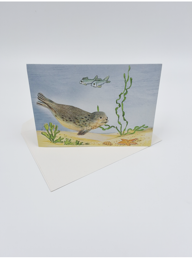 Carte de vœux pêche aux phoques