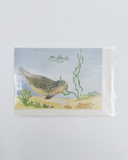 Carte de vœux pêche aux phoques