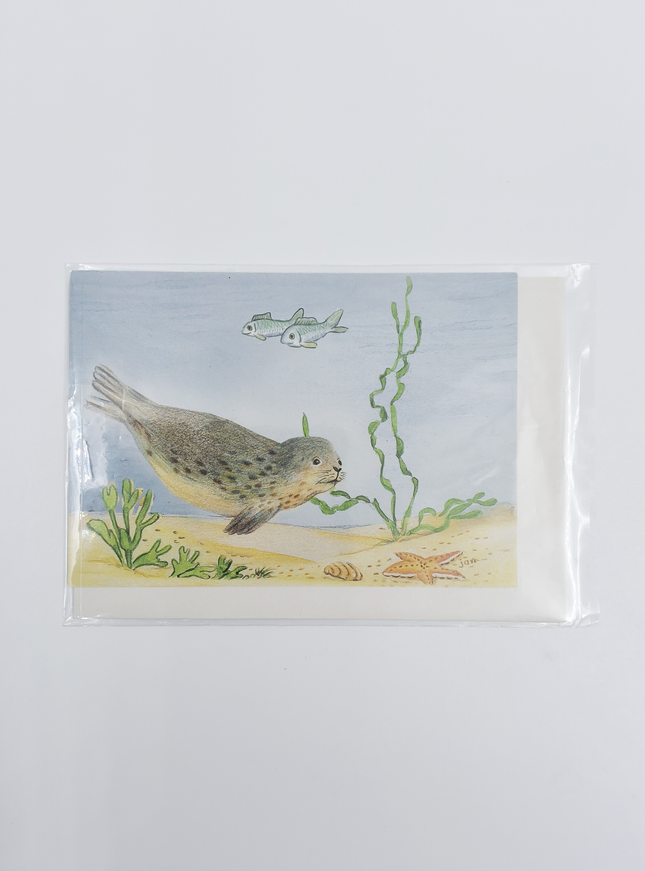 Wenskaart zeehond vissen (F12607)