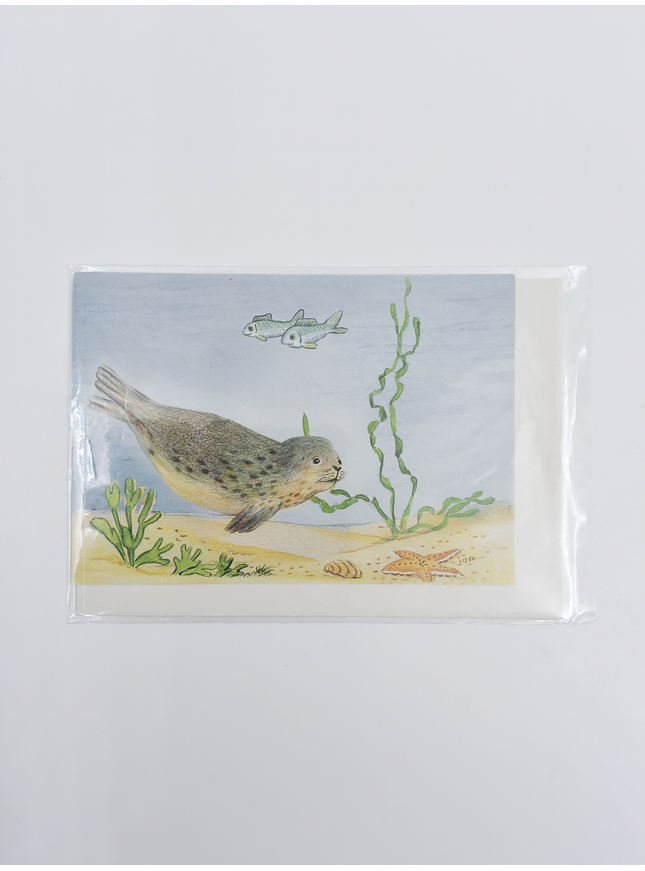 Carte de vœux pêche aux phoques