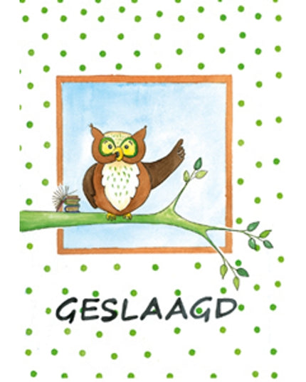 Wenskaart uil tak, geslaagd (F12611)