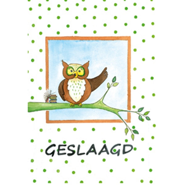 Wenskaart uil tak, geslaagd (F12611)