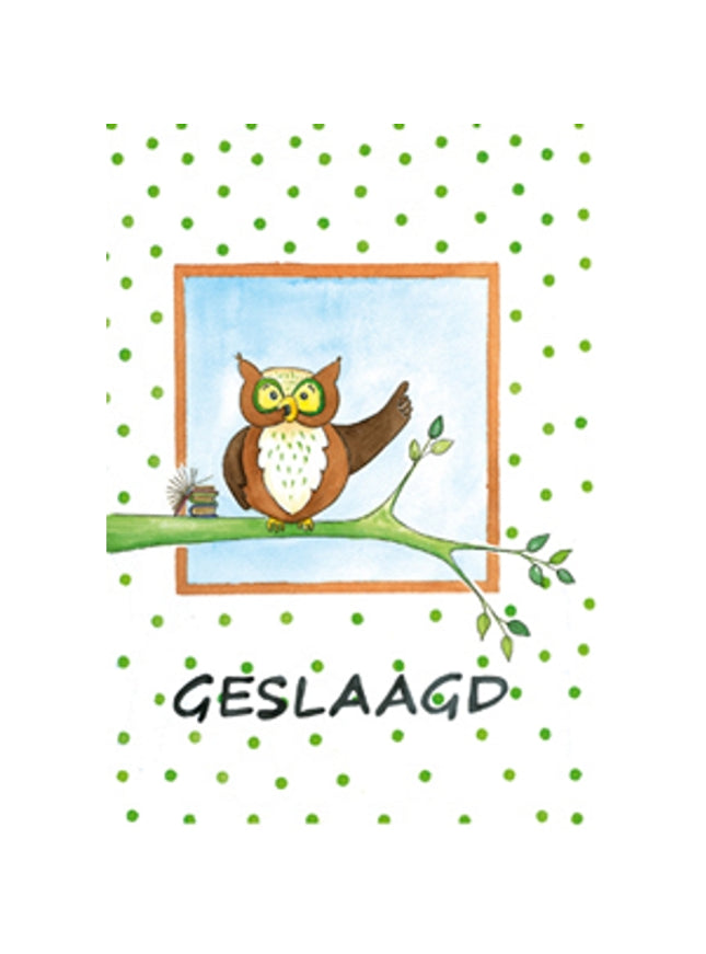Wenskaart uil tak, geslaagd (F12611)