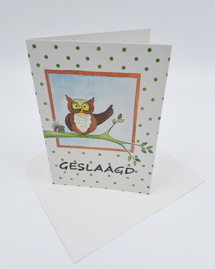 Wenskaart uil tak, geslaagd (F12611)