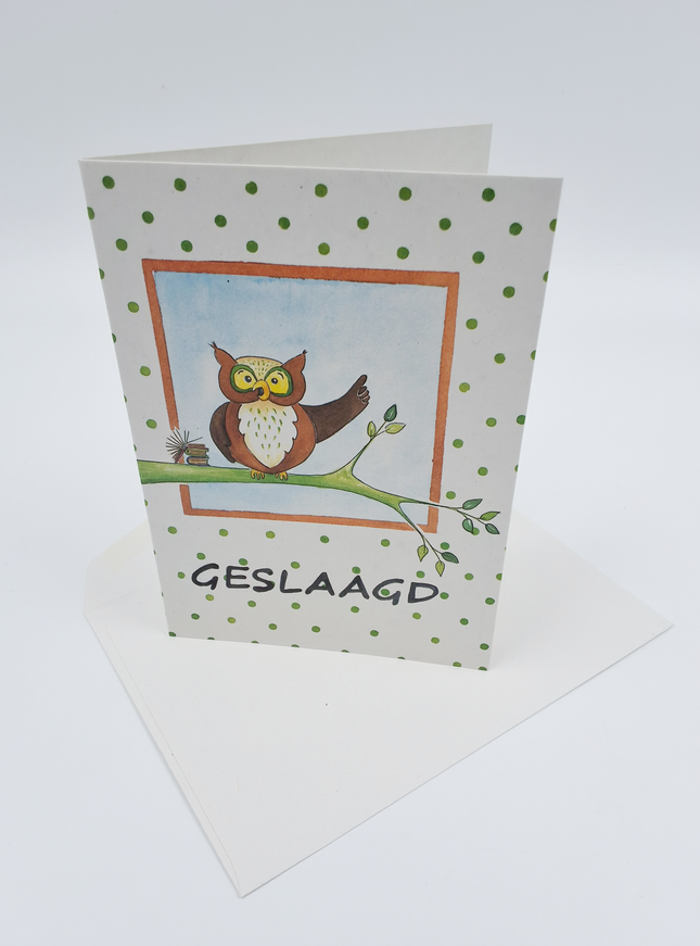 Wenskaart uil tak, geslaagd (F12611)