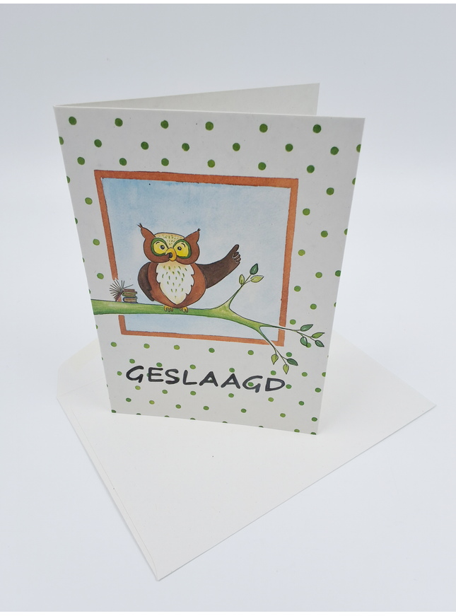 Wenskaart uil tak, geslaagd (F12611)