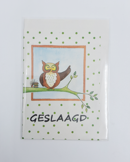 Wenskaart uil tak, geslaagd (F12611)