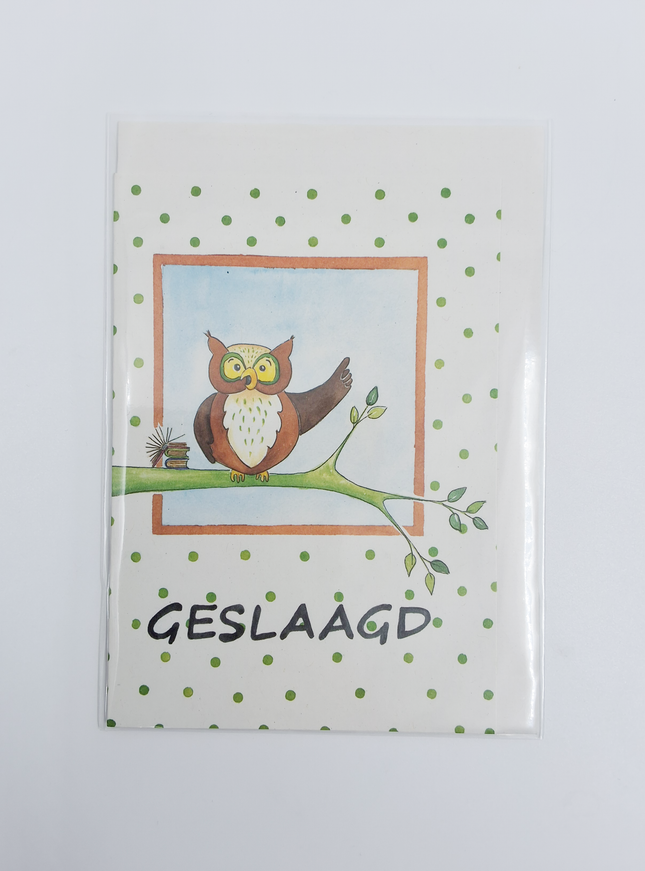 Wenskaart uil tak, geslaagd (F12611)