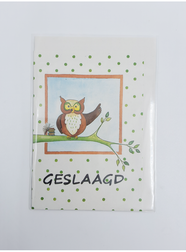 Wenskaart uil tak, geslaagd (F12611)