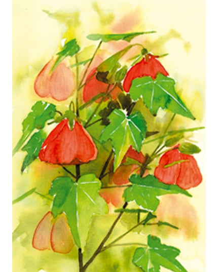 Greeting card flowers Abutilon (F12618)