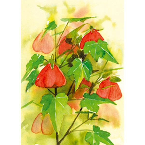 Wenskaart bloemen Abutilon (F12618)