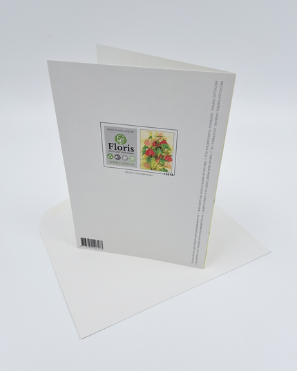 Greeting card flowers Abutilon (F12618)