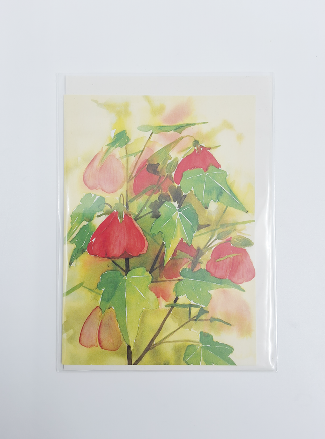 Wenskaart bloemen Abutilon (F12618)
