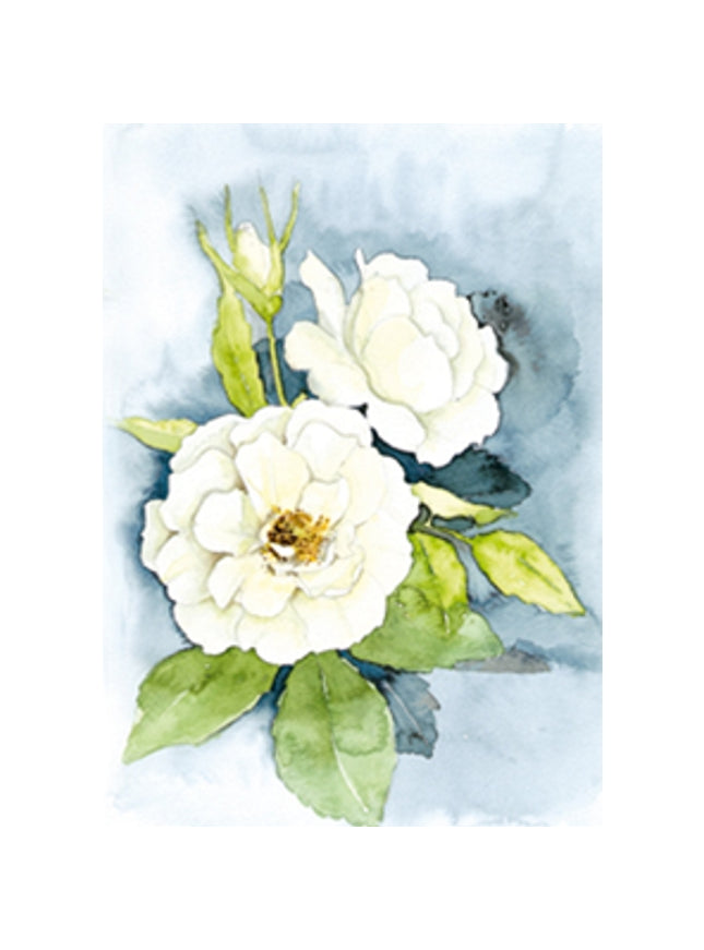 Wenskaart twee witte rozen (F12619)