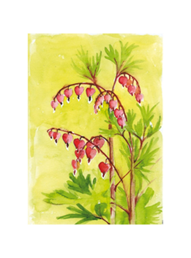 Wenskaart bloemen gebroken hartje (F12621)