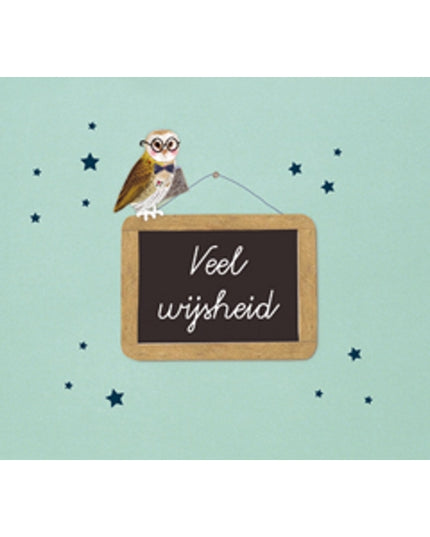 Wenskaart schoolbord, veel wijsheid (F12660)