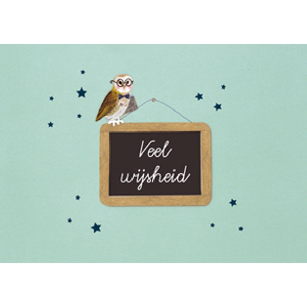 Wenskaart schoolbord, veel wijsheid (F12660)
