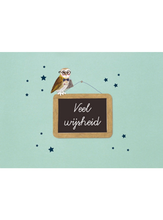 Wenskaart schoolbord, veel wijsheid (F12660)