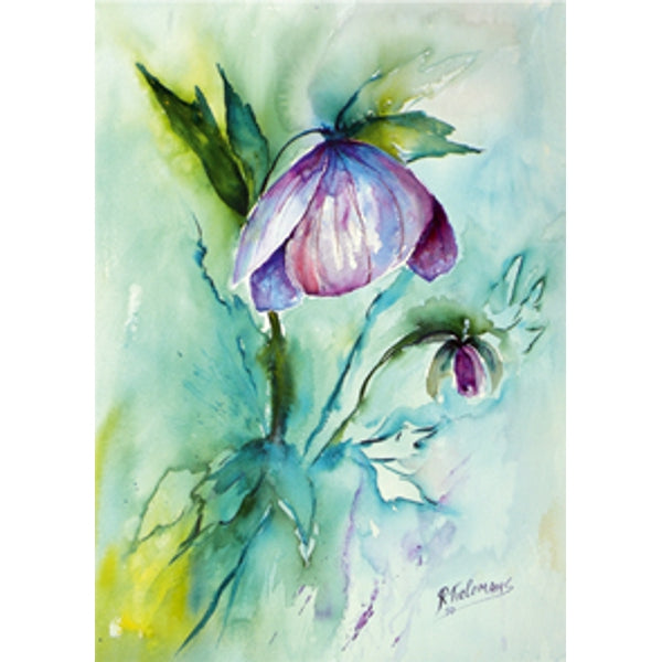 Wenskaart paarse helleborus (F12667)