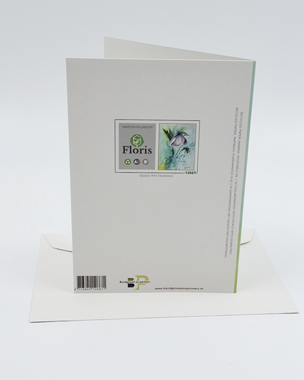 Greeting card purple hellebore (F12667)