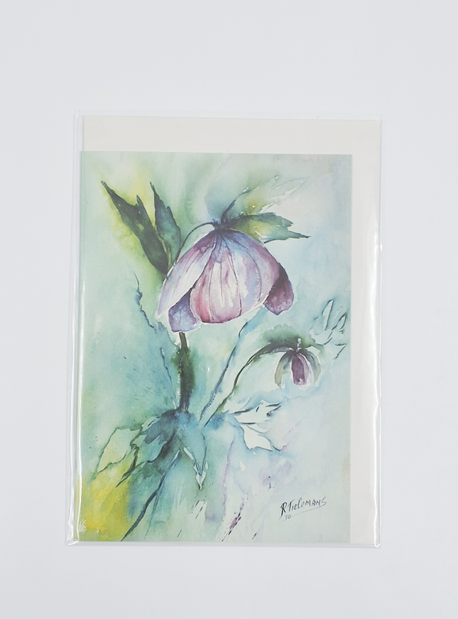 Wenskaart paarse helleborus (F12667)