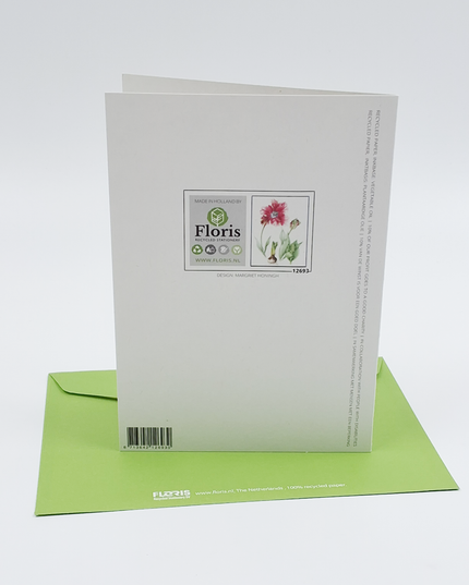 Wenskaart rode tulp (F12693)