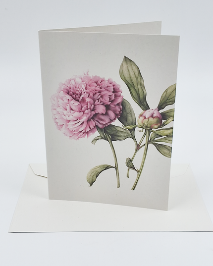Greeting card peony (F12694)