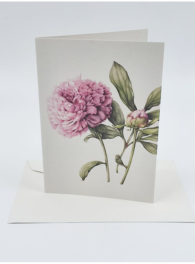 Carte de vœux pivoine