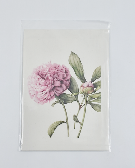 Greeting card peony (F12694)