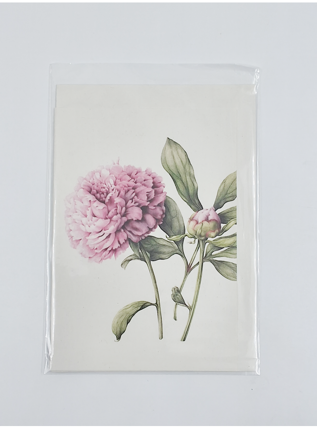 Carte de vœux pivoine