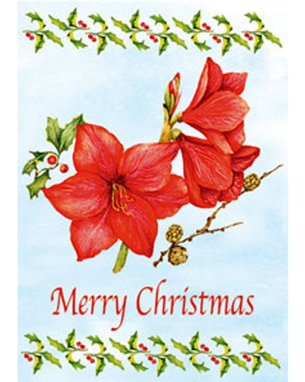 Wenskaart amarilles "Merry Christmas" (F12863)