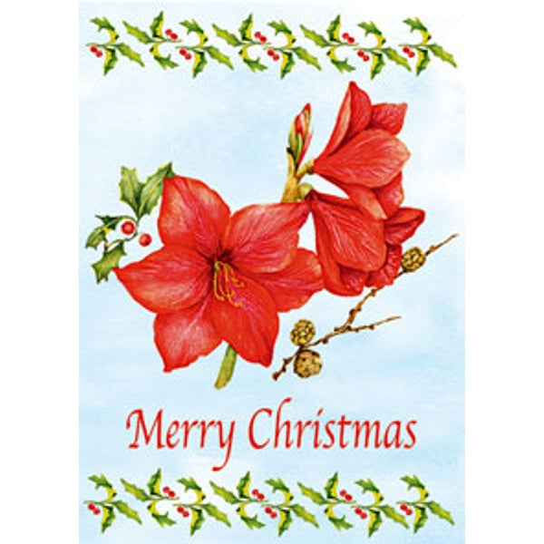 Wenskaart amarilles "Merry Christmas" (F12863)