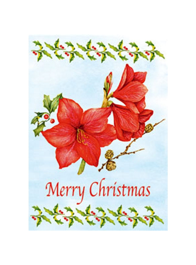 Wenskaart amarilles "Merry Christmas" (F12863)