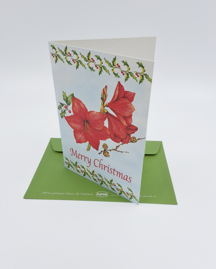Wenskaart amarilles "Merry Christmas" (F12863)