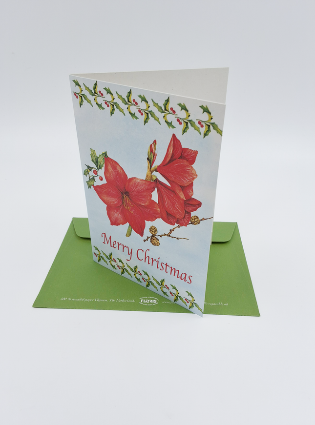 Wenskaart amarilles "Merry Christmas" (F12863)