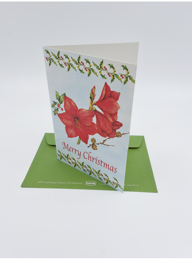 Wenskaart amarilles "Merry Christmas" (F12863)