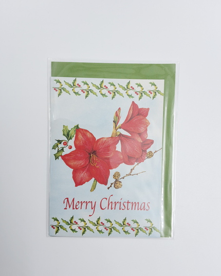 Wenskaart amarilles "Merry Christmas" (F12863)