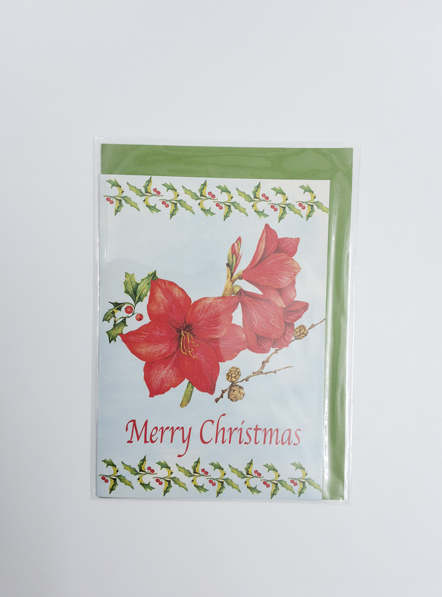 Wenskaart amarilles "Merry Christmas" (F12863)