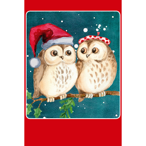 Kerstkaarten doosje 10x twee uilen (F13039)