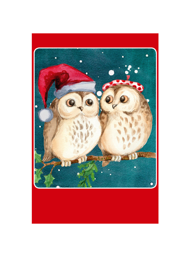 Kerstkaarten doosje 10x twee uilen (F13039)