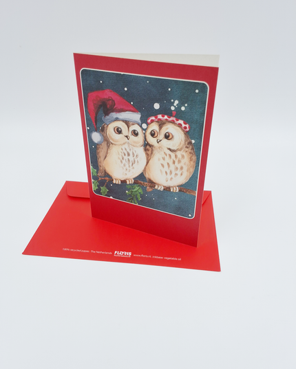 Kerstkaarten doosje 10x twee uilen (F13039)