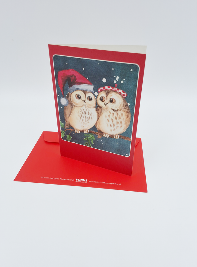 Kerstkaarten doosje 10x twee uilen (F13039)