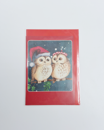 Kerstkaarten doosje 10x twee uilen (F13039)