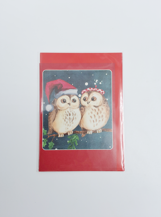 Kerstkaarten doosje 10x twee uilen (F13039)