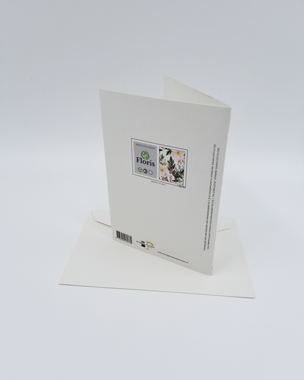 Greeting card Christmas flowers white