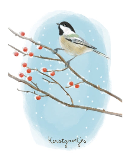 Wenskaart kerstgroetjes (F13106)