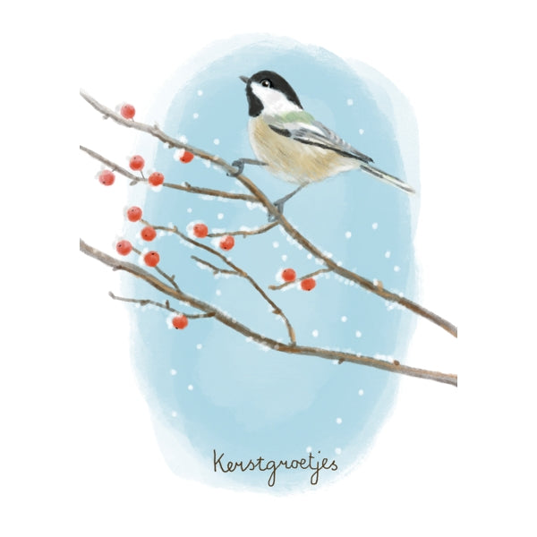 Wenskaart kerstgroetjes (F13106)