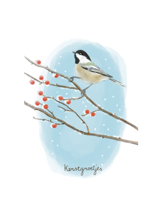 Wenskaart kerstgroetjes (F13106)