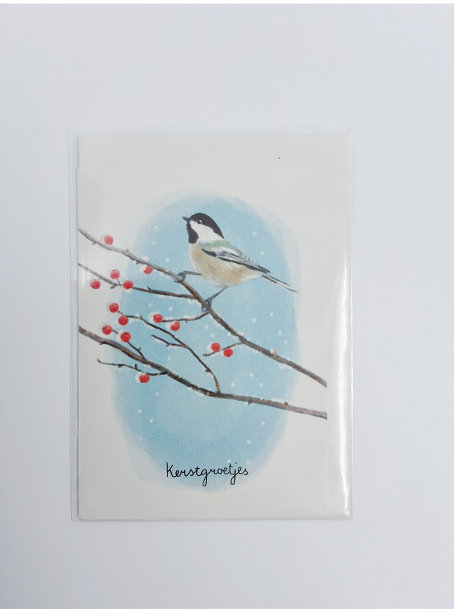 Wenskaart kerstgroetjes (F13106)